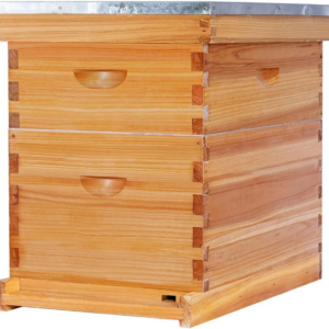 BEEequip Langstroth Hive