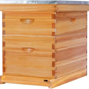 BEEequip Langstroth Hive